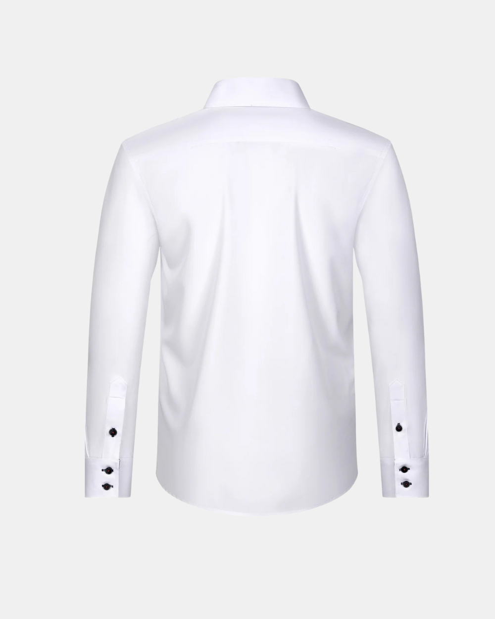 Aureo Madrid™ | Giorgio Camiseta informal